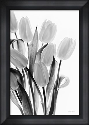 Framed Shadows and Light II Print