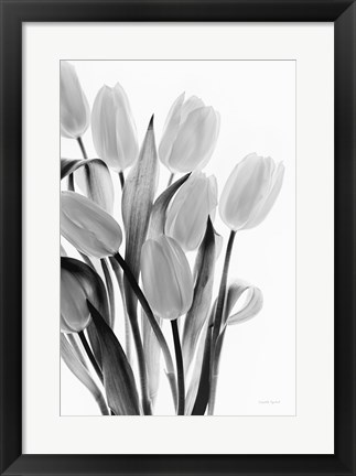 Framed Shadows and Light II Print