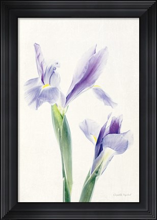 Framed Light and Bright Floral III Print