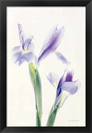 Framed Light and Bright Floral III Print