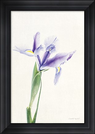 Framed Light and Bright Floral IV Print