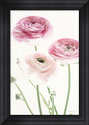 Framed Light and Bright Floral VI Print