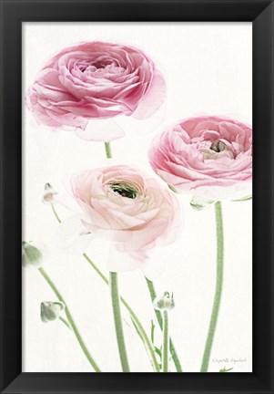 Framed Light and Bright Floral VI Print