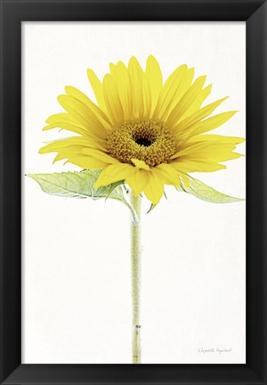 Framed Light and Bright Floral VIII Print