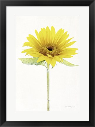 Framed Light and Bright Floral VIII Print