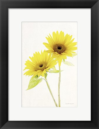 Framed Light and Bright Floral VII Print