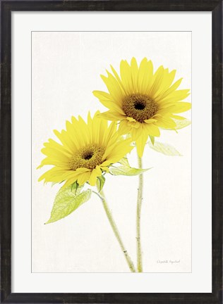 Framed Light and Bright Floral VII Print