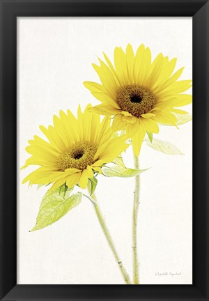 Framed Light and Bright Floral VII Print