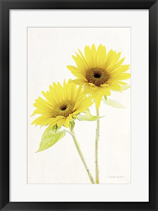 Framed Light and Bright Floral VII Print