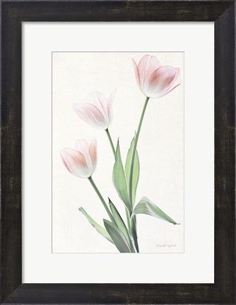 Framed Light and Bright Floral I Print