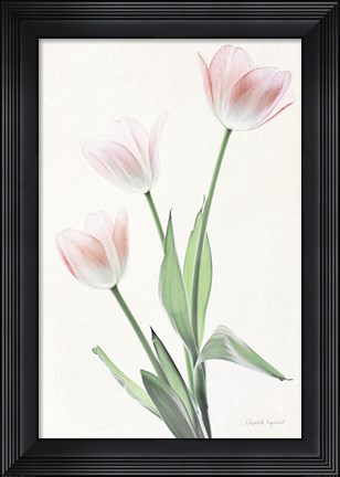 Framed Light and Bright Floral I Print