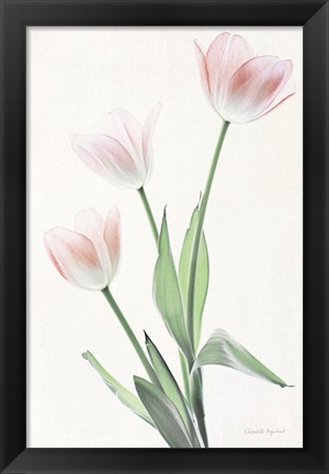 Framed Light and Bright Floral I Print