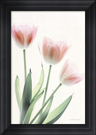 Framed Light and Bright Floral II Print