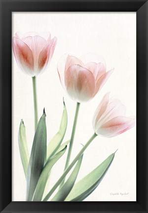 Framed Light and Bright Floral II Print