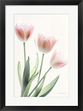 Framed Light and Bright Floral II Print