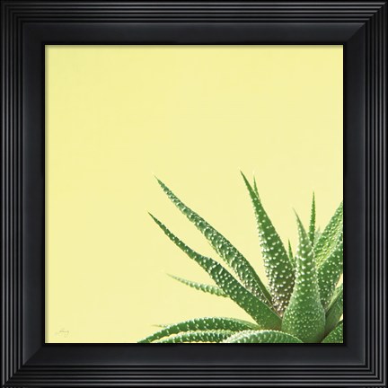 Framed Succulent Simplicity II Print