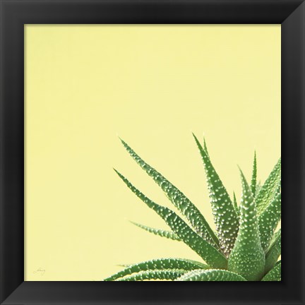 Framed Succulent Simplicity II Print