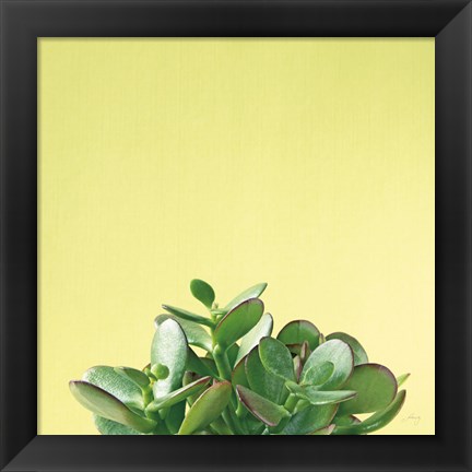 Framed Succulent Simplicity III Print