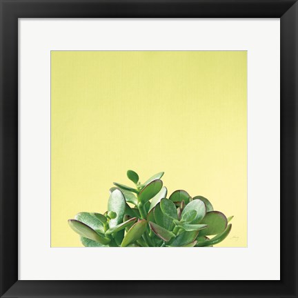 Framed Succulent Simplicity III Print