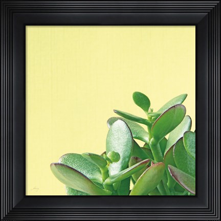 Framed Succulent Simplicity IV Print