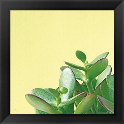 Framed Succulent Simplicity IV Print