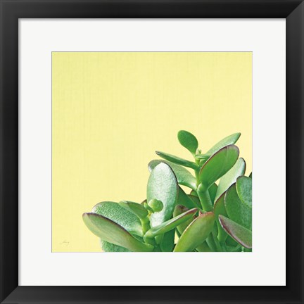 Framed Succulent Simplicity IV Print