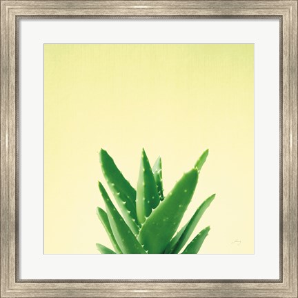 Framed Succulent Simplicity V Print