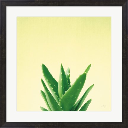 Framed Succulent Simplicity V Print