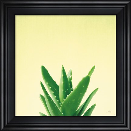 Framed Succulent Simplicity V Print