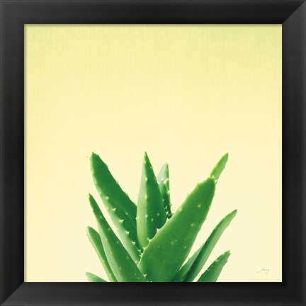 Framed Succulent Simplicity V Print