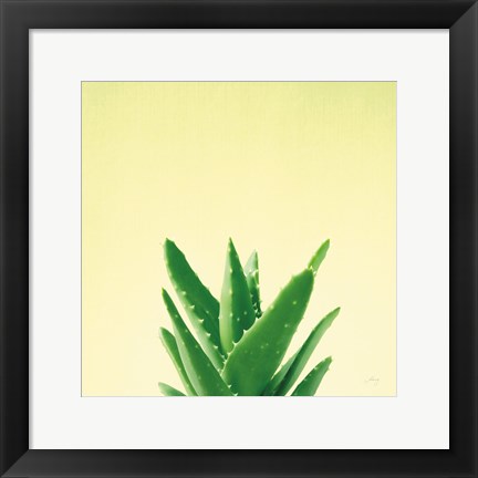 Framed Succulent Simplicity V Print