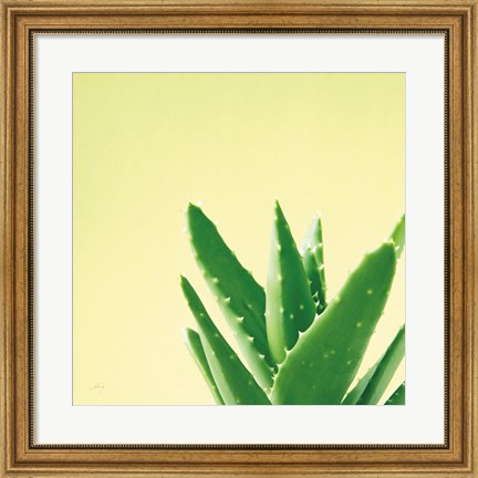 Framed Succulent Simplicity VI Print