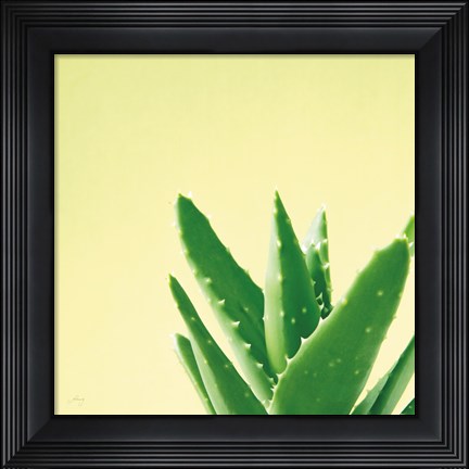 Framed Succulent Simplicity VI Print