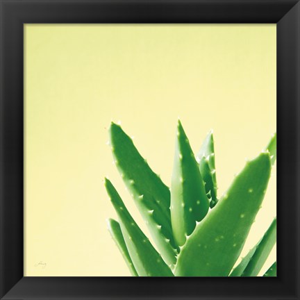 Framed Succulent Simplicity VI Print