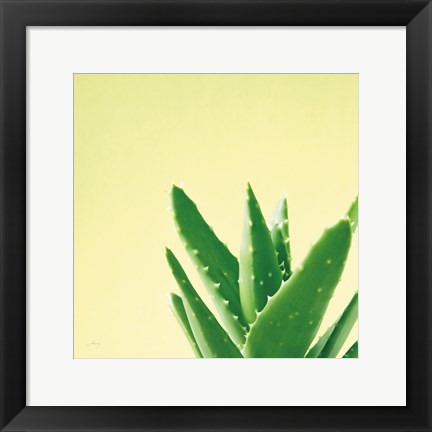 Framed Succulent Simplicity VI Print