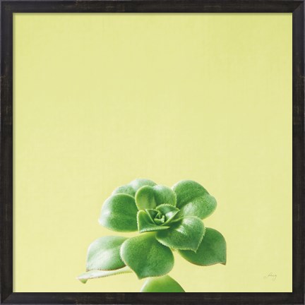 Framed Succulent Simplicity VII Print