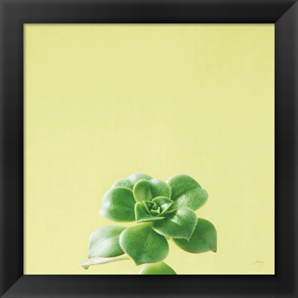 Framed Succulent Simplicity VII Print