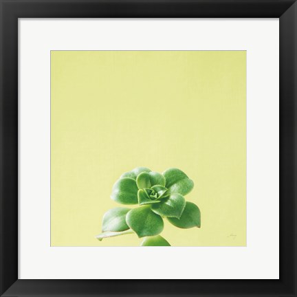 Framed Succulent Simplicity VII Print