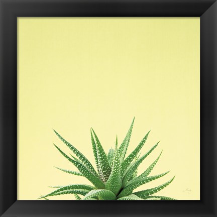 Framed Succulent Simplicity I Print