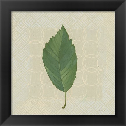 Framed Forest Leaves III no Lines Print