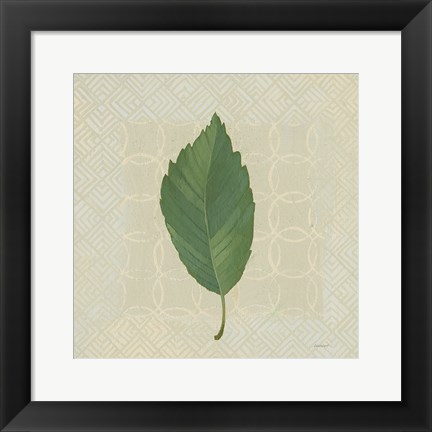 Framed Forest Leaves III no Lines Print