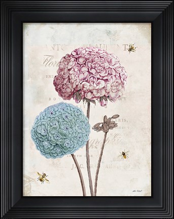 Framed Geranium Study II Pink Flower Print