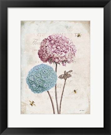 Framed Geranium Study II Pink Flower Print