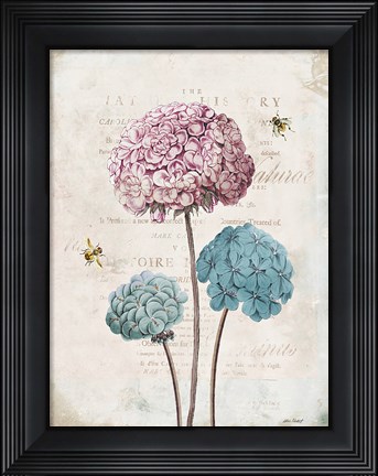Framed Geranium Study I Pink Flower Print