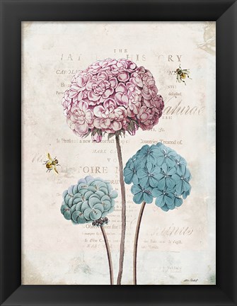 Framed Geranium Study I Pink Flower Print