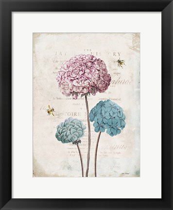 Framed Geranium Study I Pink Flower Print