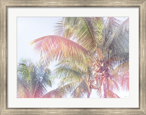 Framed Dream Palm I Print