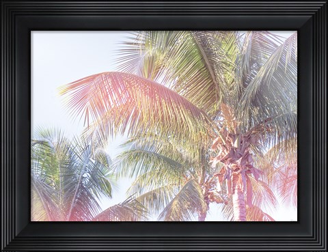 Framed Dream Palm I Print