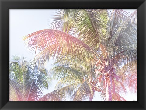 Framed Dream Palm I Print