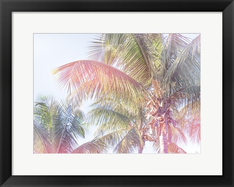 Framed Dream Palm I Print